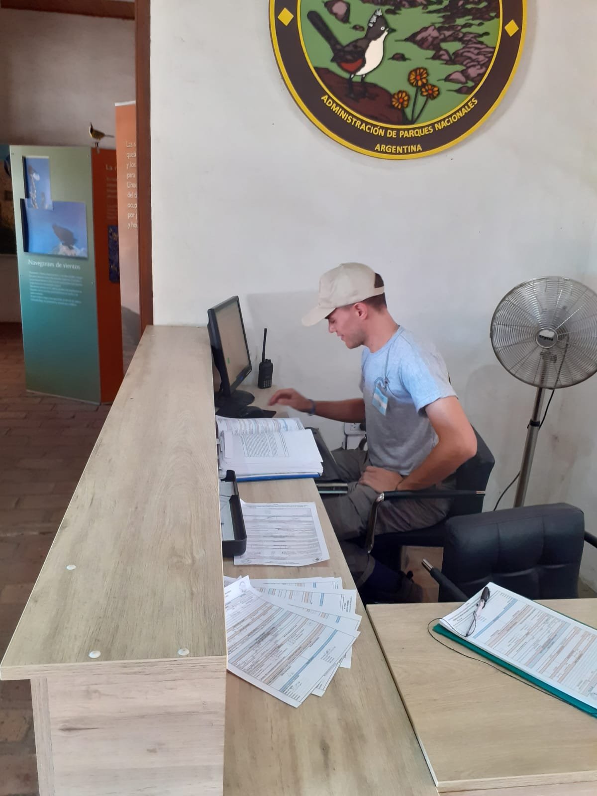 voluntario tomas